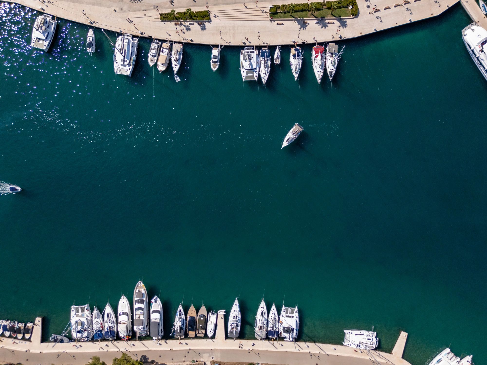 Aerial marina view representing The Finology premium marine world